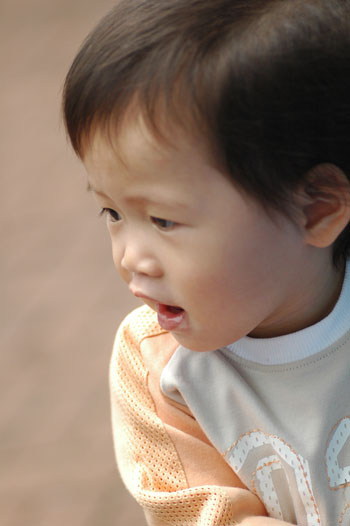 gal/1 Year and 4 Months Old/DSC_7850.jpg